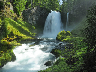 Waterfall forest mossy rocks trees 22 - mossy free wallpaper