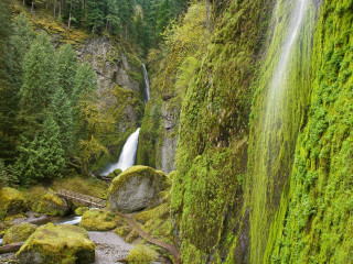 Waterfall bridge forest moss nature - moss free wallpaper