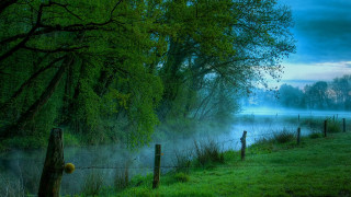 Foggy lake fence trees night - mist free wallpaper for desktop
