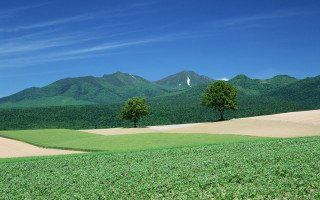 Field trees mountains blue sky - the middle of it free wallpaper for desktop