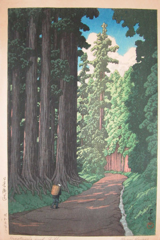 Person walking road forest tall - free forest wallpaper for mobile