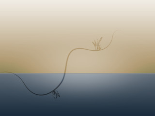 Plant water stem tail string - an abstract drawing free wallpaper