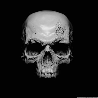 Skull black white photo background - zbrush free wallpaper for tablet
