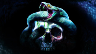 Skull snake head back coiling - skull free wallpaper