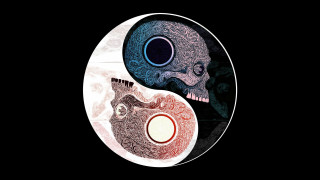 Yin yang skull human head - symmetrical balance free wallpaper
