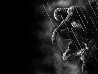 Spider man rain black white - marvel comic free wallpaper for desktop