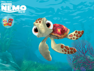 Cartoon turtle swimming ocean candy - eugene montgomery free wallpaper