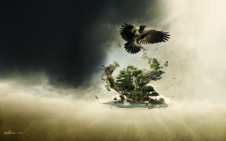 Bird flying small island ocean - free bird wallpaper