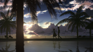 Couple walking beach sunset palm - a couple walking free wallpaper