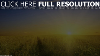 Field grass sunset background click - environmental free wallpaper for desktop
