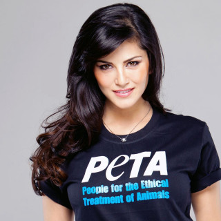 Peta tshirt dog necklace ella - free animals wallpaper for tablet