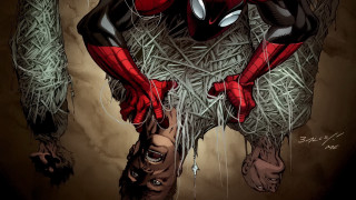 Spider man sitting hay holding - alton tobey free wallpaper