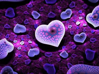 Heart purple rocks water droplets - a black dot free wallpaper for desktop