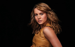 Woman brown dress posing picture - a brown dress free wallpaper