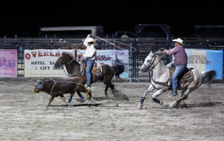 Rodeo night horses cattle western - a couple of men free wallpaper