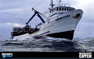 Boat crane birds cloudy sky - a crane free wallpaper