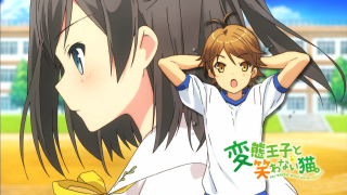 Girl long hair baseball uniform - his head free wallpaper