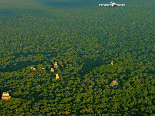Forest sky plane tiltshift aerial - eduardo lefebvre scovell free wallpaper