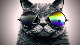 Cat sunglasses rainbow reflection black - psychedelic art free wallpaper