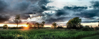 Field trees cloudy sky sun - sun free wallpaper for desktop