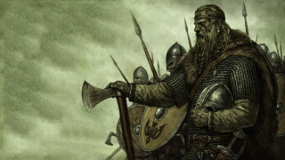 Man long beard shield sword - a painting of a man free wallpaper