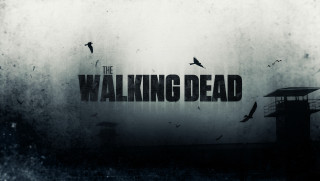 Walking dead building birds flying - photo of a building free wallpaper