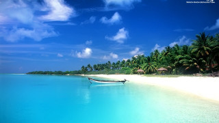 Boat beach palm sky landscape - white sand free wallpaper