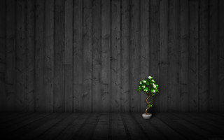 Small green plant white vase - a white vase free wallpaper