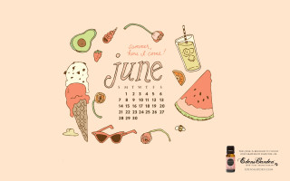 Calendar june items booze bottle - anne dunn free wallpaper