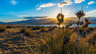 Field lake mountains sunset sunshine - a lake and mountains free wallpaper