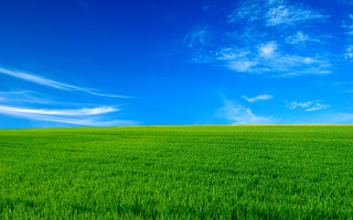 Green field blue sky lone - a green field free wallpaper for desktop