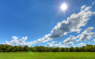 Field bright sun clouds trees - sun free wallpaper for desktop