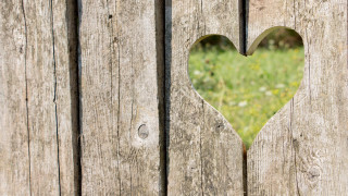 Heart shaped cutout wooden fence - blunt border free wallpaper