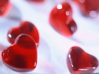 Close up red hearts white - free hearts wallpaper