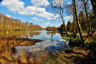 Lake trees grass sky clouds 2 - anthony s waters free wallpaper
