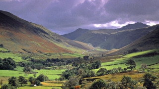 Valley trees mountains clouds cows - a valley free wallpaper