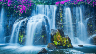 Waterfall purple flowers rock water 2 - purple flower free wallpaper for desktop