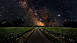 Road field night sky stars 2 - milky free wallpaper