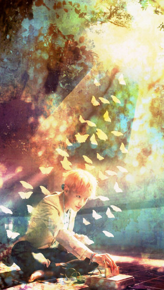 Boy kneeling tree butterflies laptop - chen lu free wallpaper for mobile