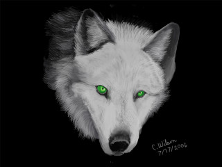 White wolf green eyes black - a white wolf free wallpaper
