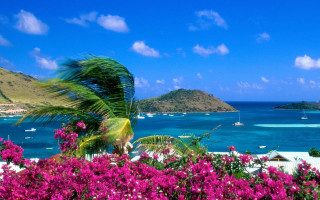 Tropical island blue ocean boats - a tropical island free wallpaper