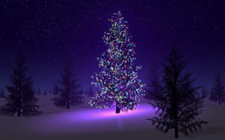 Christmas tree snowy night stars - free christmas wallpaper for desktop