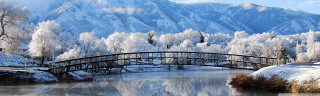 Bridge river snowy mountains trees - arlington nelson lindenmuth free wallpaper