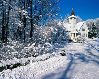 Church snowy forest path trees - winter free wallpaper