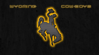 Black background yellow horse yellow - a yellow light free wallpaper for desktop