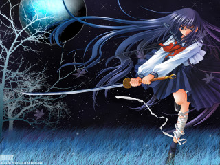 Girl long hair sword field - long hair holding free wallpaper