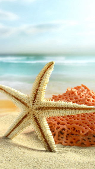 Starfish beach ocean blue sky 2 - a beach free wallpaper for mobile