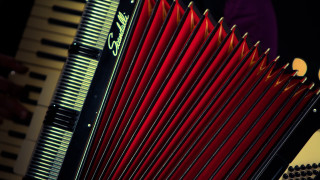 Red accordion closeup person yellow - neofauvism free wallpaper for desktop