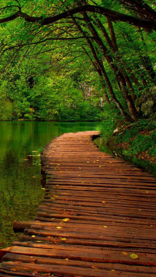 Wooden path water forest trees - avgust černigoj free wallpaper for mobile