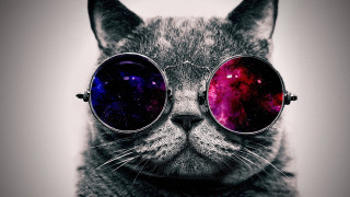 Cat glasses space theme lens - len free wallpaper